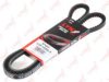 LYNXauto 10X1225LX V-Belt